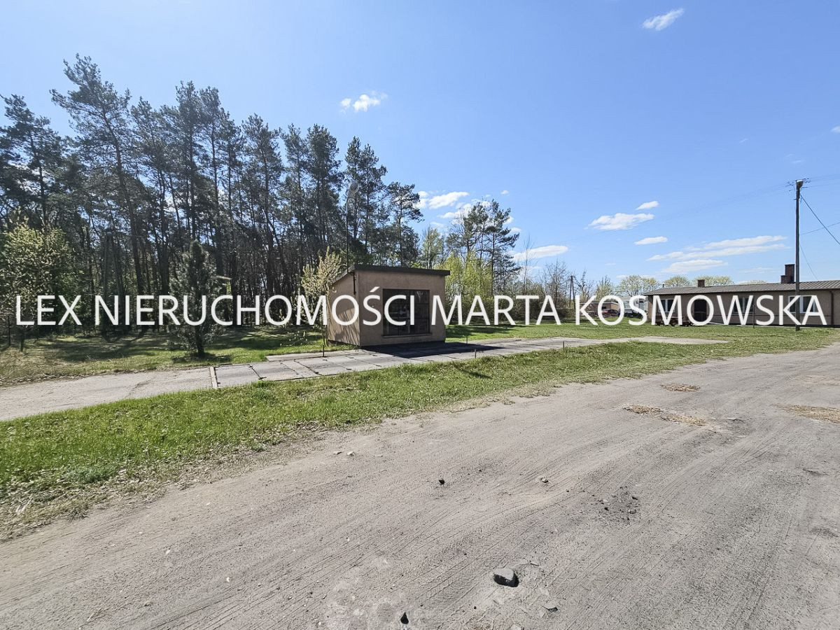 Nowa Wrona, gmina Joniec, 1575 m, działka 13177 m - Widok 5