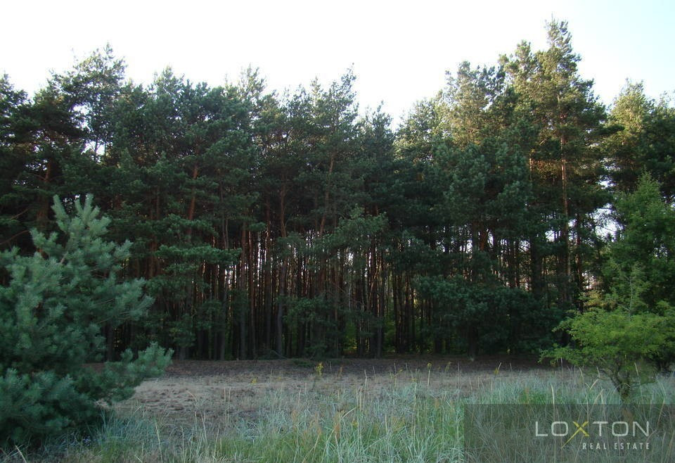 gratka-384/3243/OGS - Widok 2