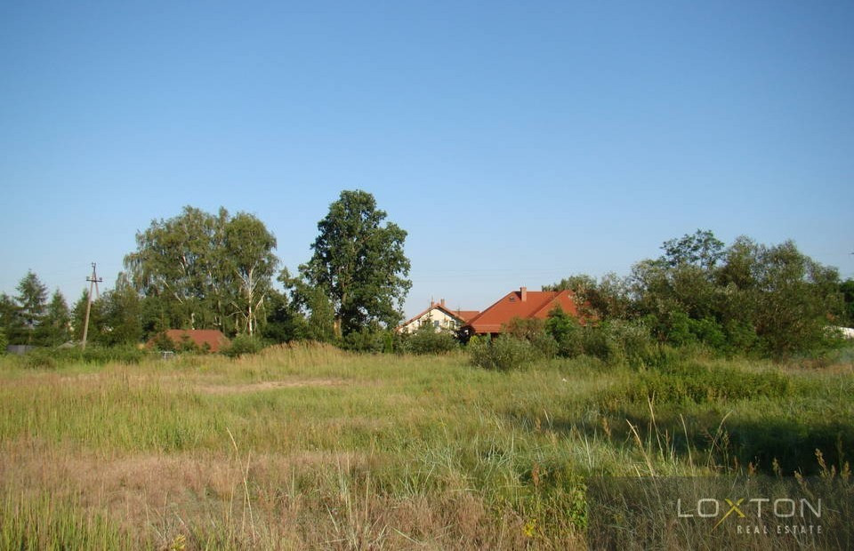 gratka-384/3243/OGS - Widok 4