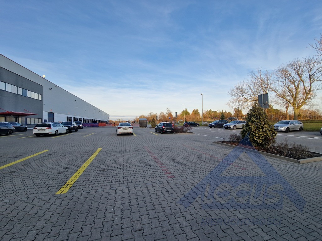Magazyn Podnajem od 2000 do 5000 m² - Widok 2