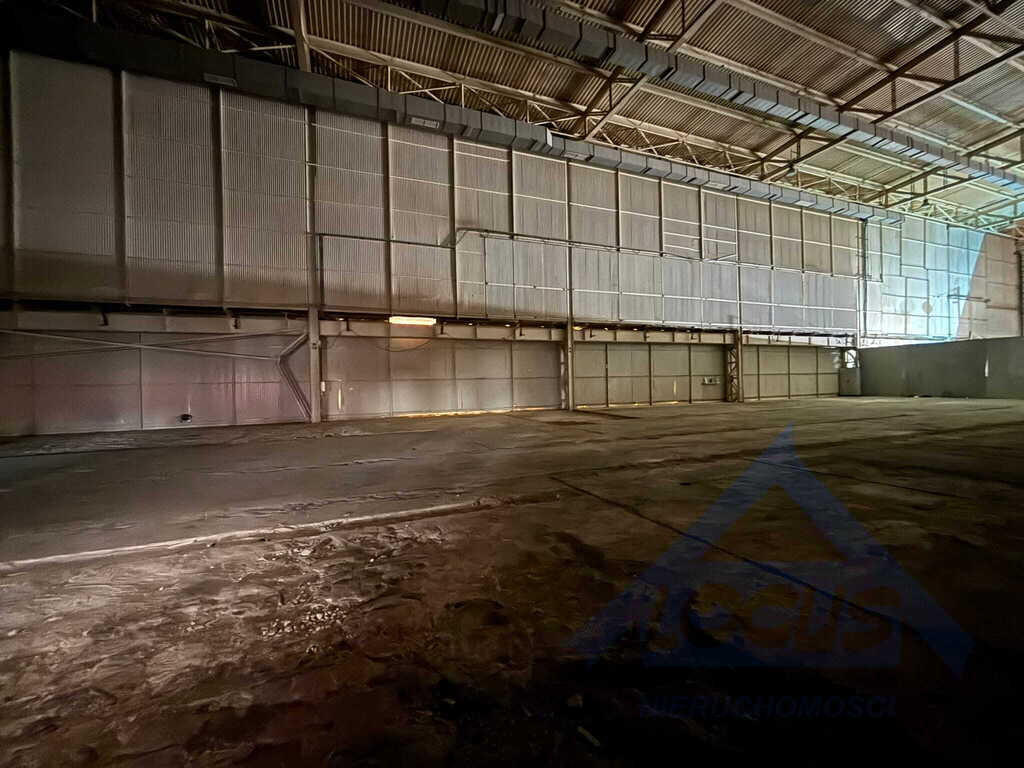 Powierzchnia produkcyjno-magazynowa Praga Północ - Widok 2