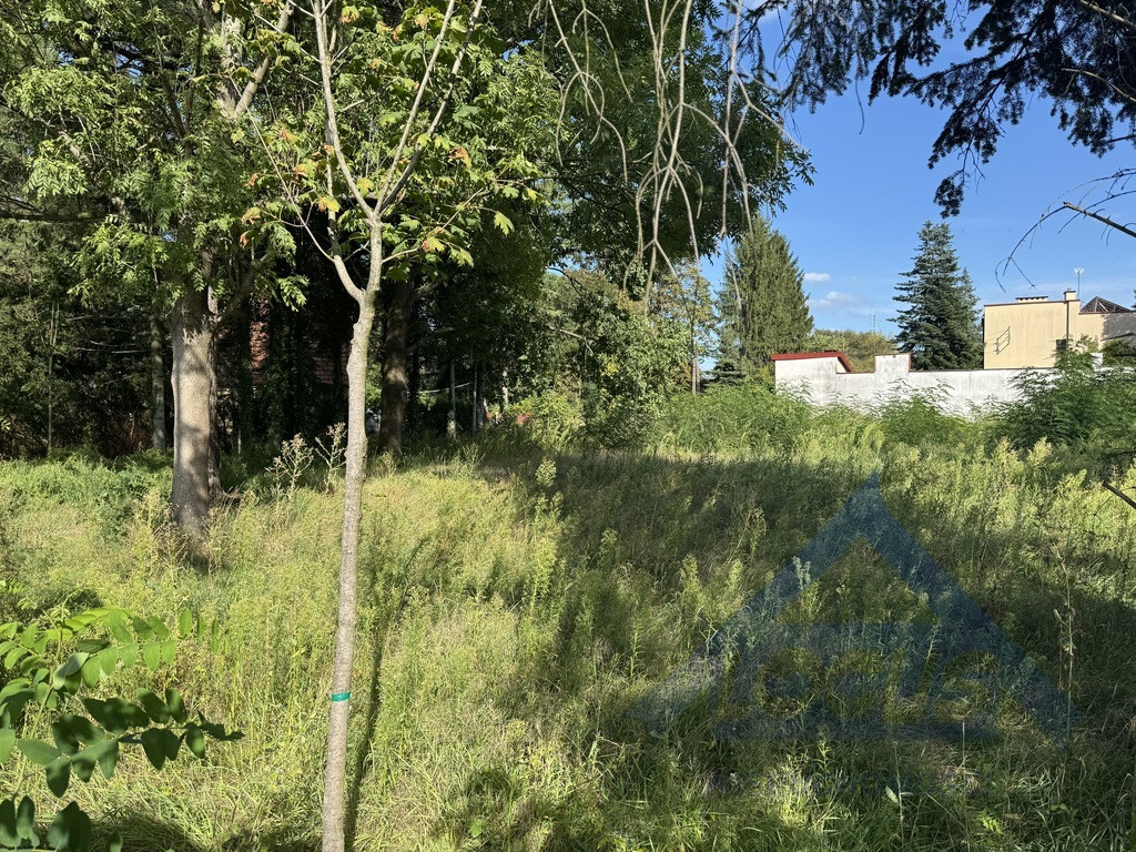 Sprzedam działkę inwestycyjną - Widok 2