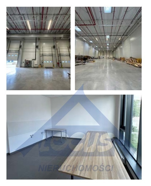 Magazyn Białołeka 1636 m² - Widok 3