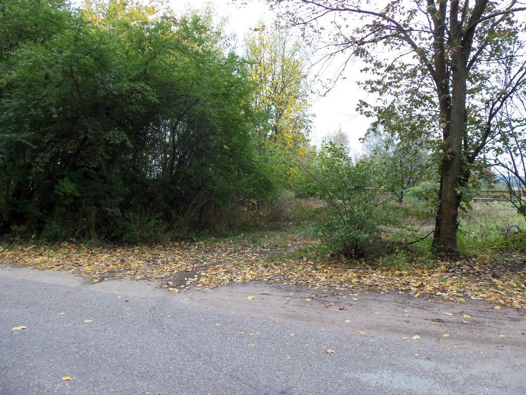 Urokliwa działka w Bednarach - Widok 3