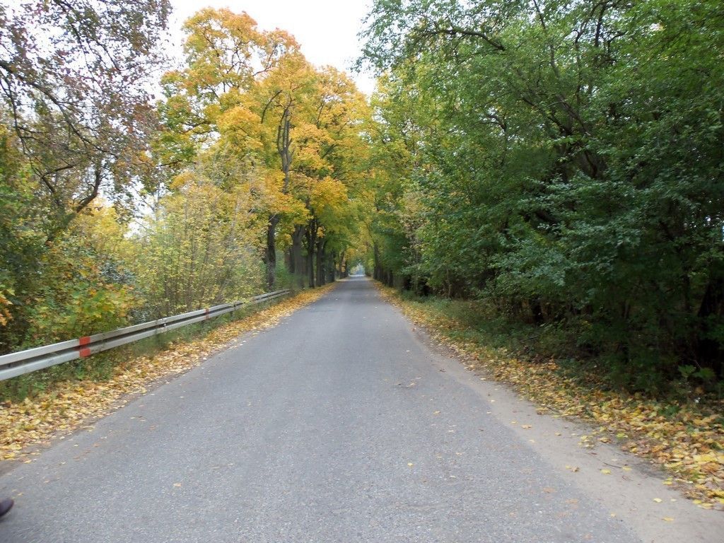Urokliwa działka w Bednarach - Widok 4
