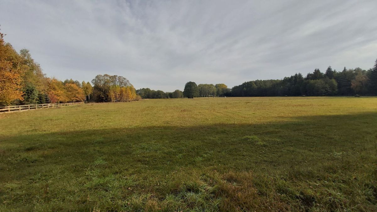 Urokliwa działka w Starczanowie - Widok 5