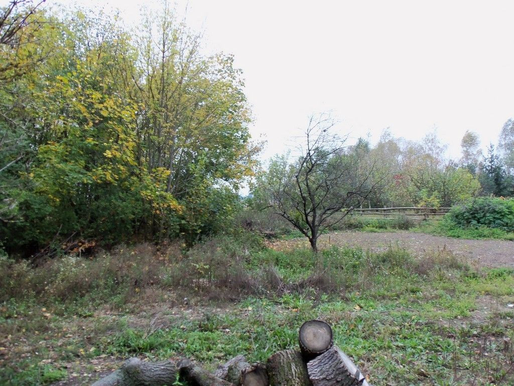Urokliwa działka w Bednarach - Widok 2
