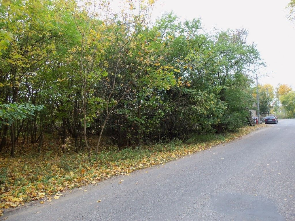 Urokliwa działka w Bednarach - Widok 5