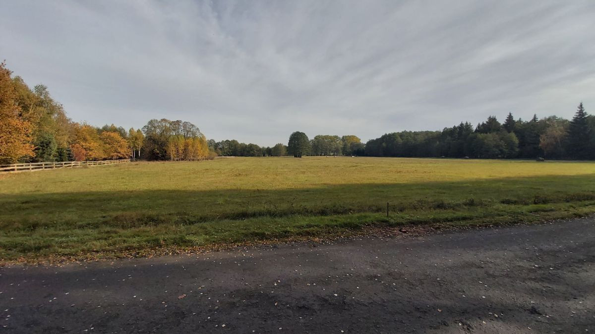 Urokliwa działka w Starczanowie - Widok 3