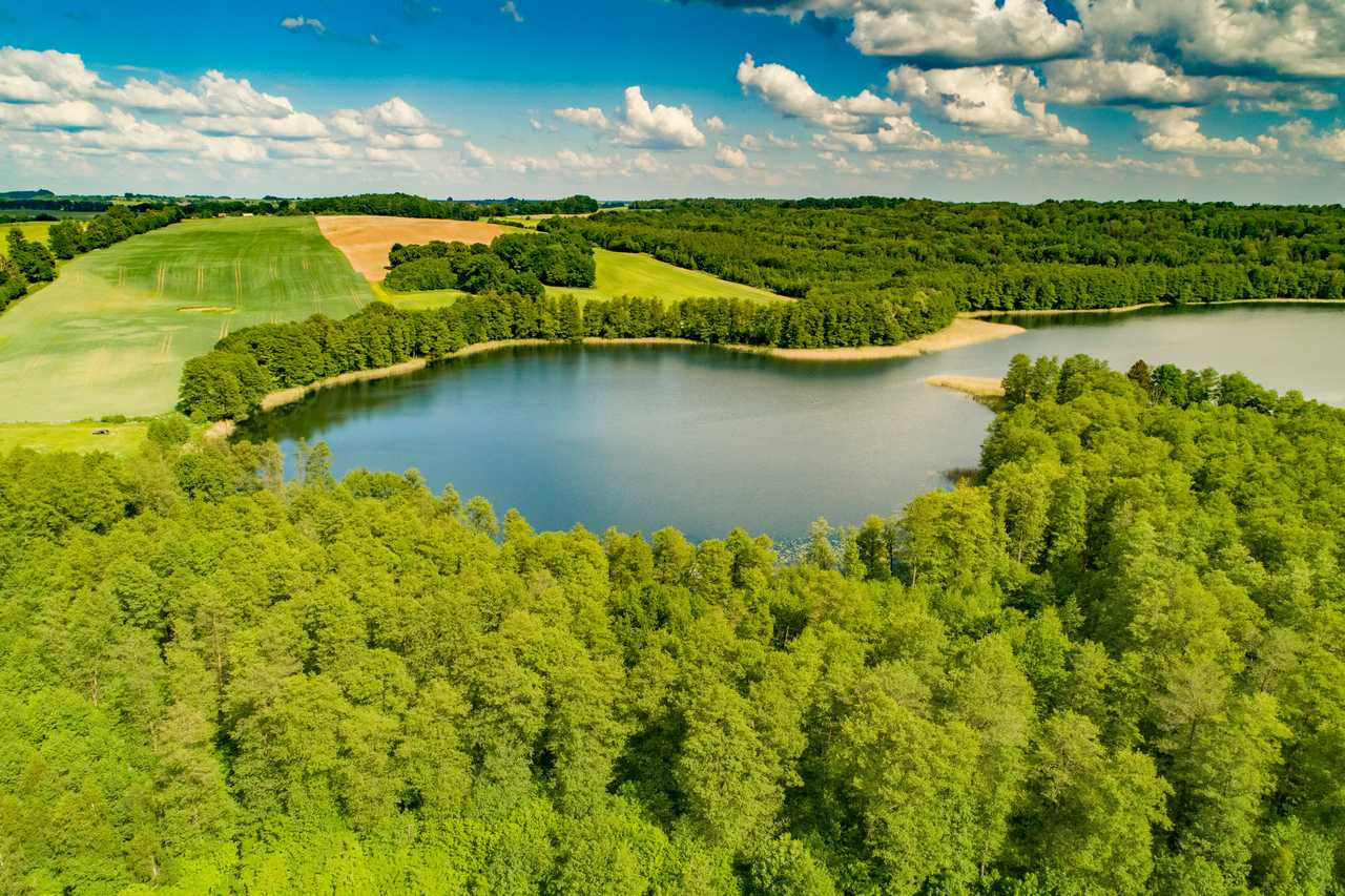Działka budowlana nad jeziorem Tejstymy - Widok 3