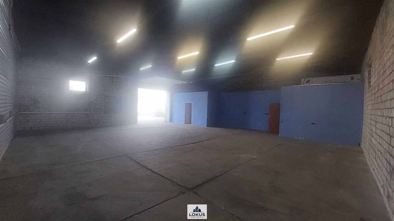 Magazyn produkcja warsztat 250 m² Teofilów - Widok 5