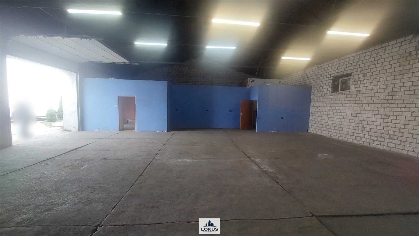 Magazyn produkcja warsztat 250 m² Teofilów - Widok 4