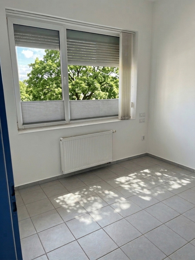 Lokal użytkowy 15 m² na parterze | ul. Benisławskiego, Gdynia | Witry - Widok 4