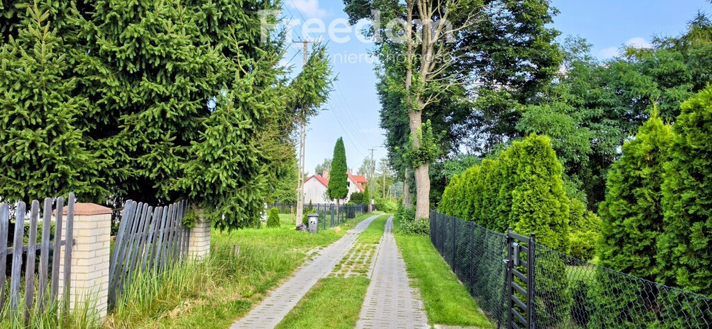 Działka budowlana Sztumskie Pole - Widok 2