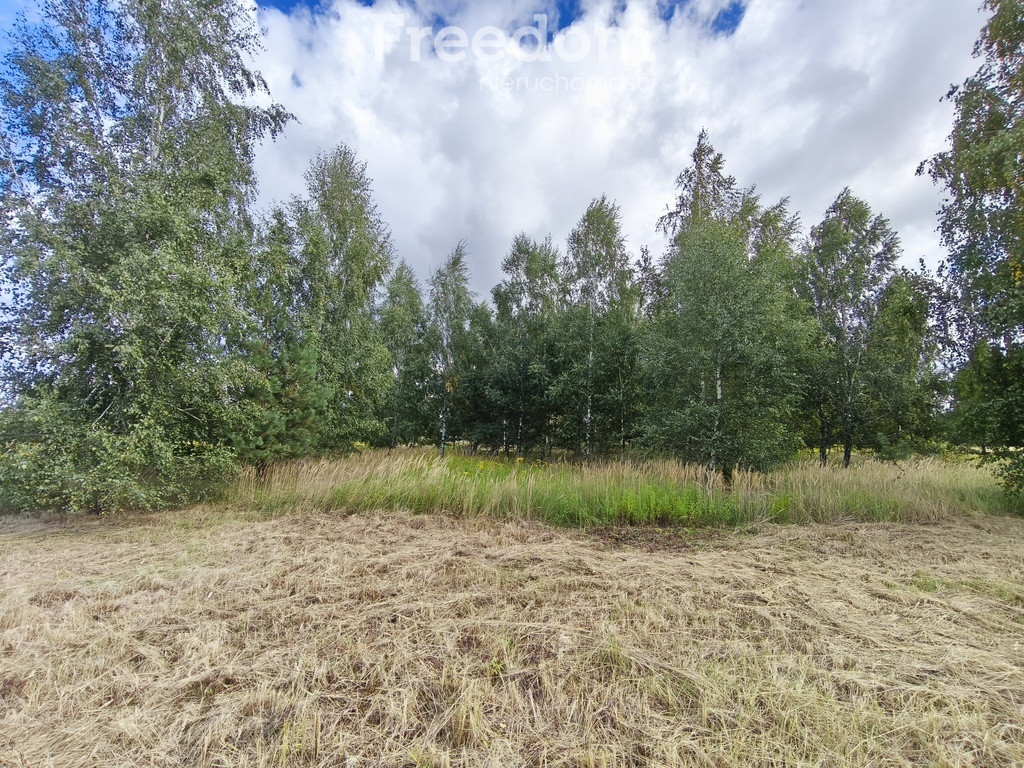 Działka budowlana 1305 m², media, 4 działki - Widok 5