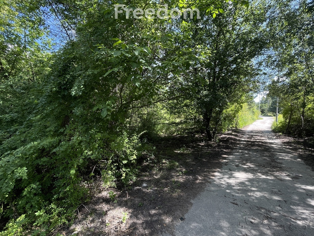 Działka Marysin-Rogi 1265 m² MPZP - Widok 4