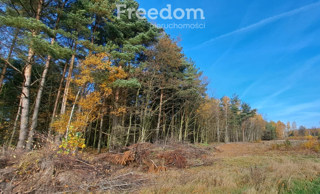 Działka (Pod zabudowę jednorodzinną) na sprzedaż, - Więcej