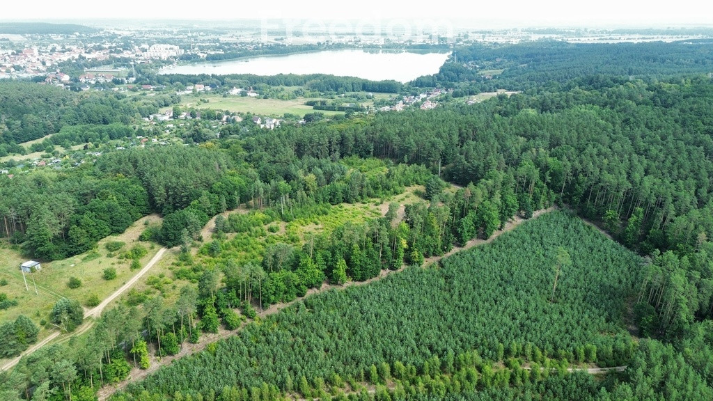 WYJĄTKOWA DZIAŁKA pod Twój dom w Chodzieży - Widok 3