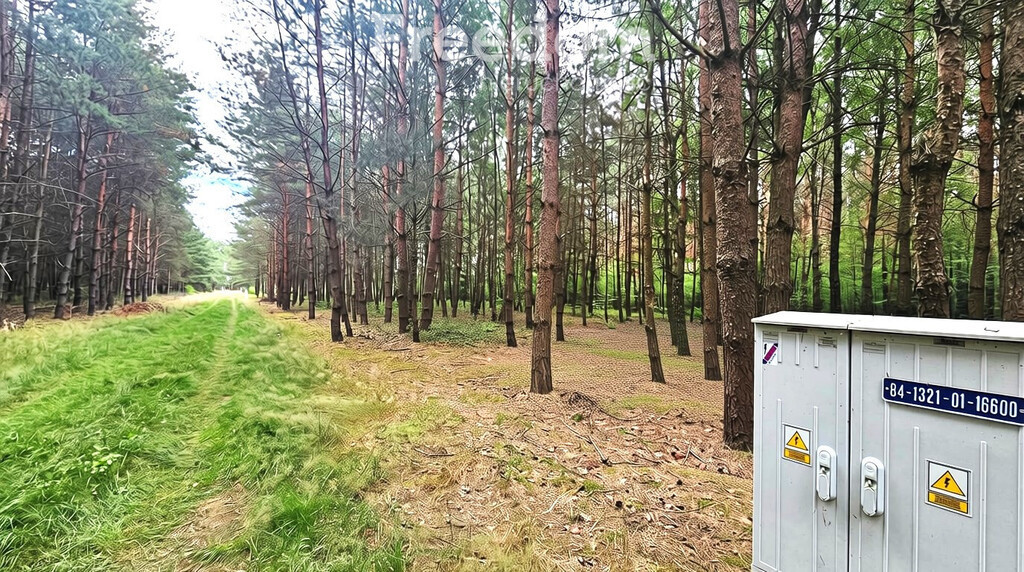 Działka budowlana z MPZP- Katarzynów/ Sokolnik - Widok 3