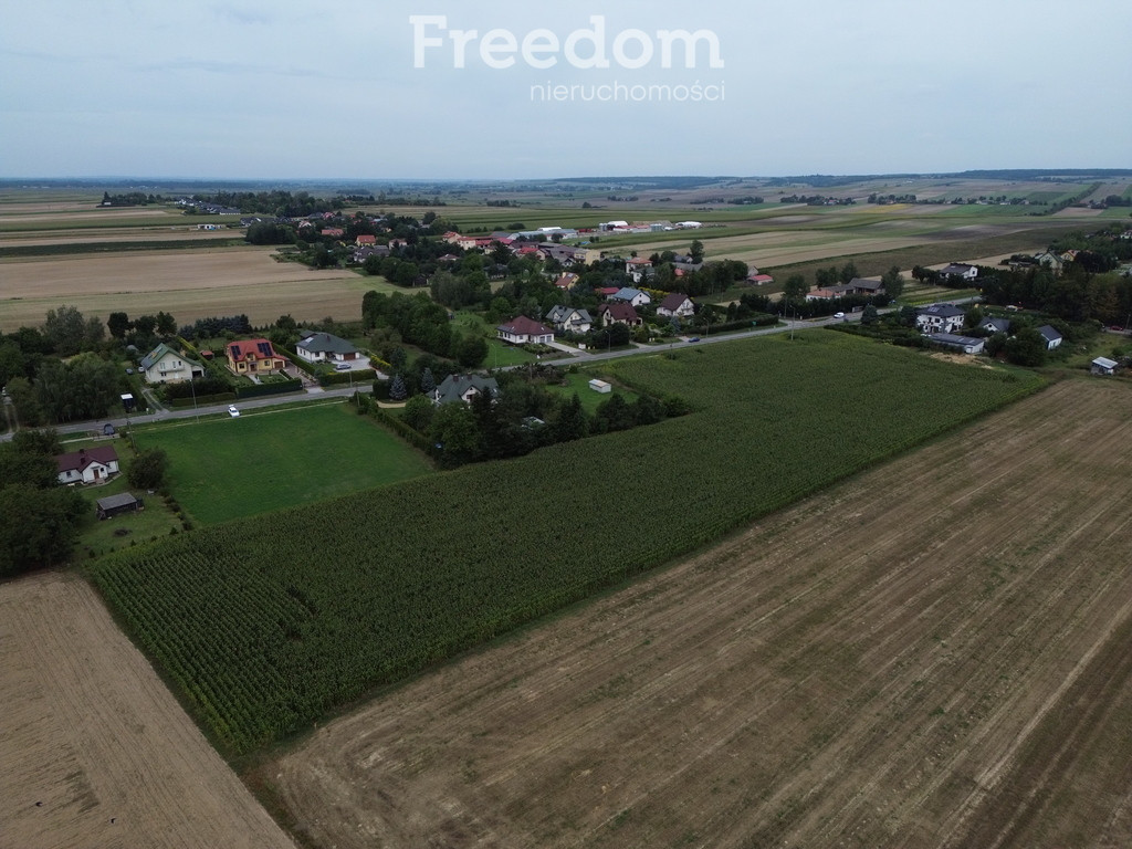 Atrakcyjne działki blisko Zamościa, Borowina - Widok 4