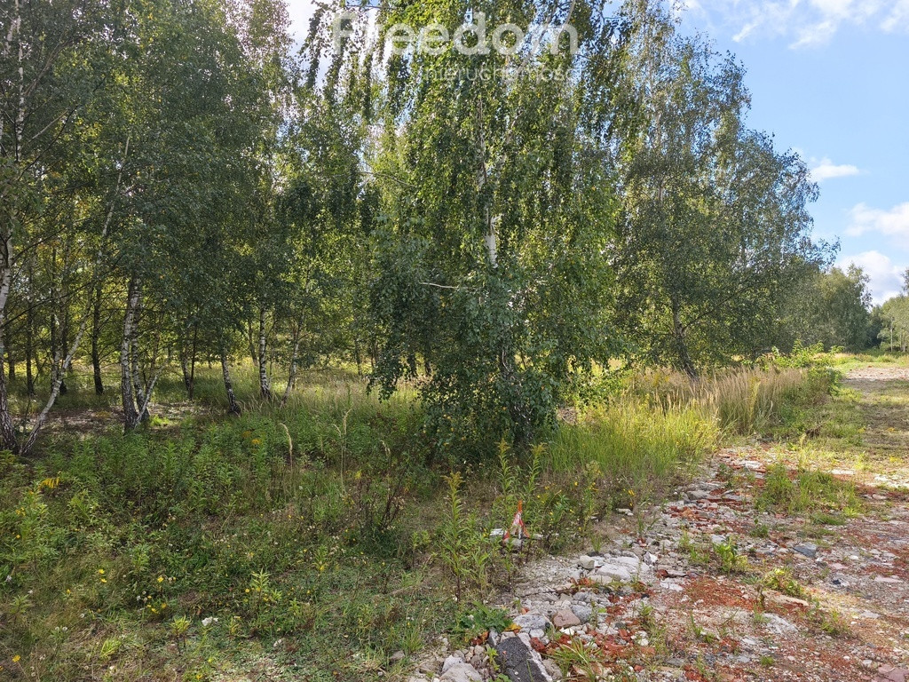 Działka budowlana 1305 m², media, 4 działki - Widok 3