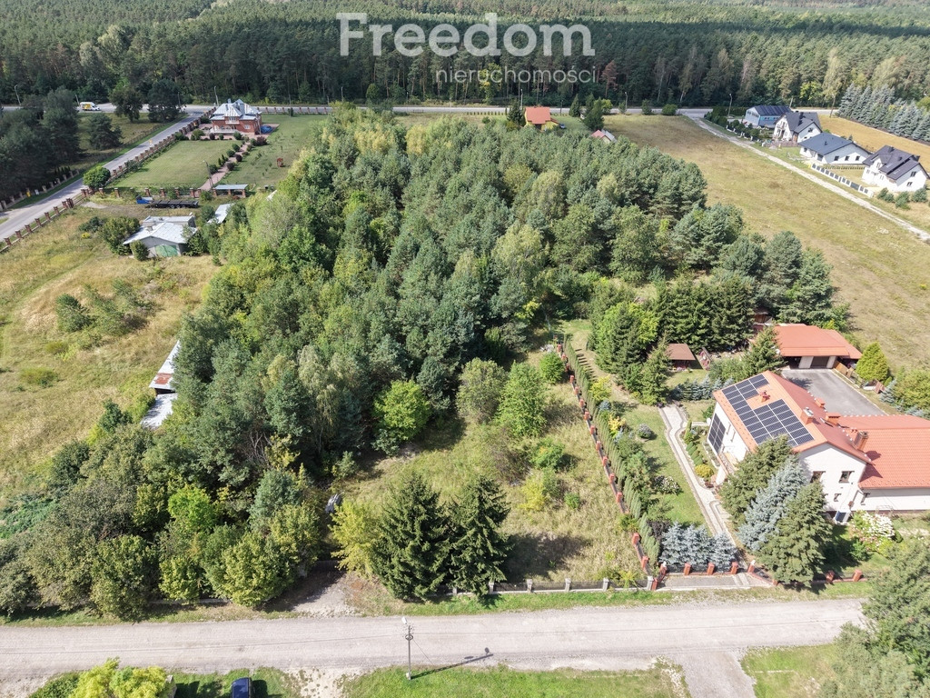 Działka budowlano-rolna 8154 m² ogrodzona - Widok 5