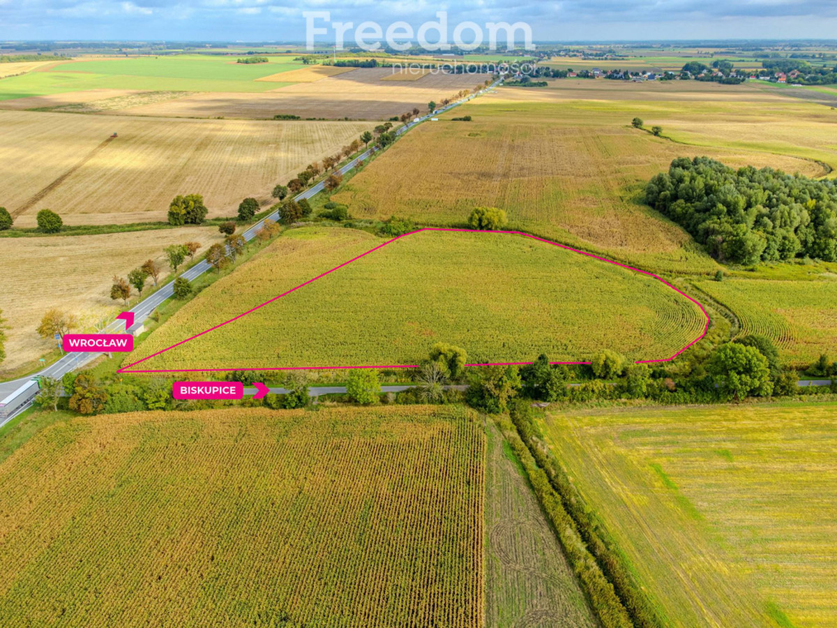 Działka inwestycyjna 2,31 ha | Wilczkowice | E8 - Widok 3