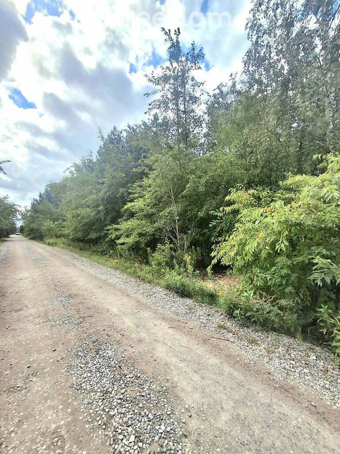Piękna działka, doskonała inwestycja - Widok 2