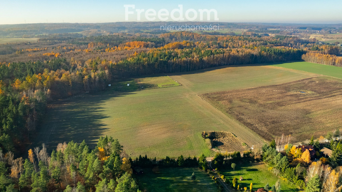 Działka budowlana z usługami blisko lasu - Widok 4