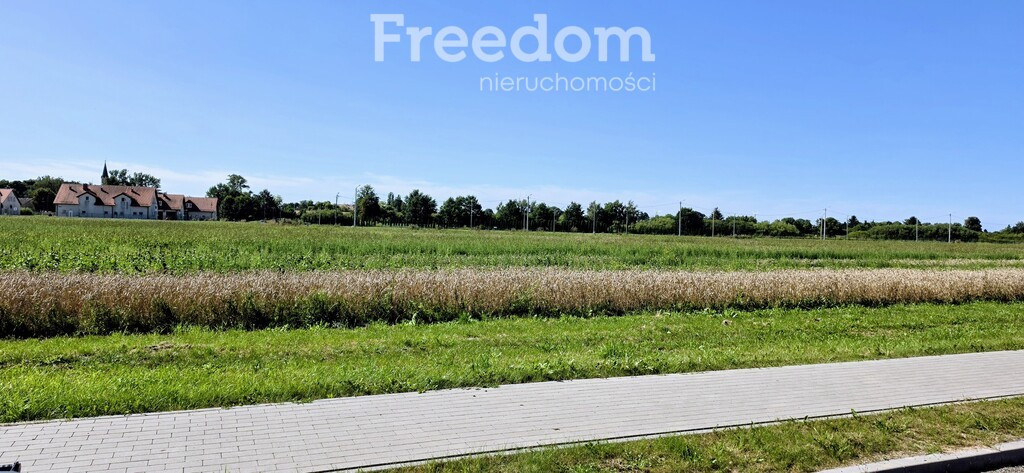 Kompleks trzech działek-19981 m² pod inwestycję - Widok 3