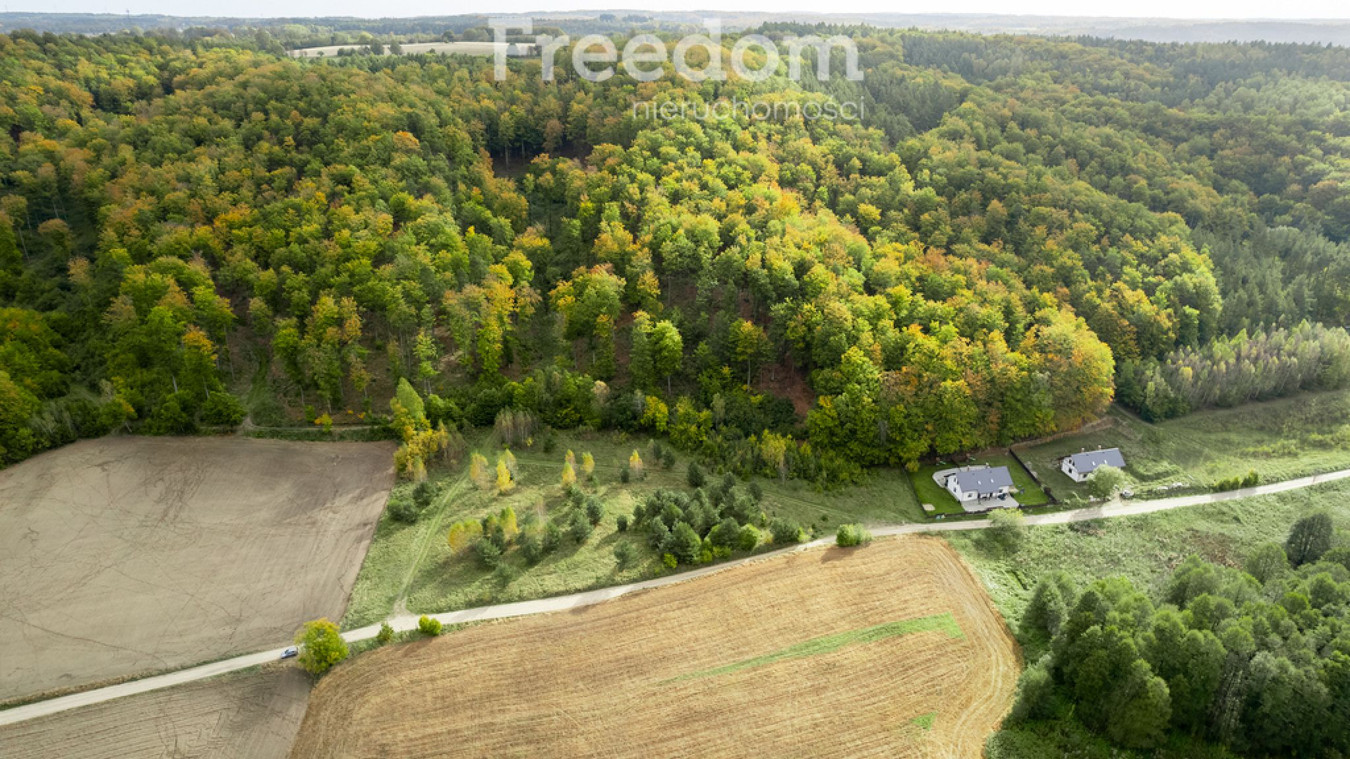 Działka przy lesie – sasiedztwo dwóch jezior - Widok 5