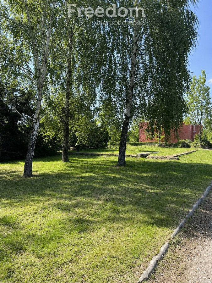 Budynek w Sędziszowie z dużą działką - Widok 4