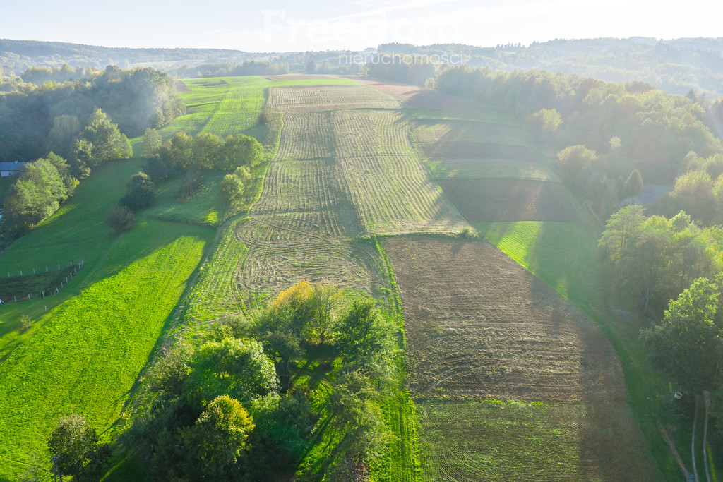 Działka 20a z WZ, piękny widok - Widok 5