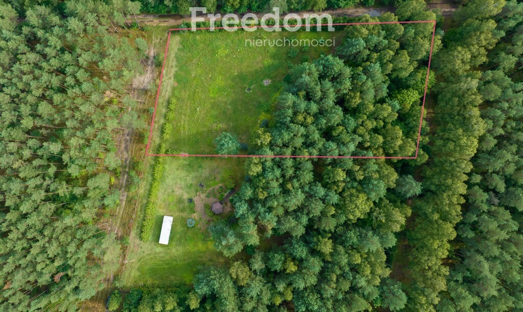 Działka siedliskowa pod lasem Więckowo - Widok 2
