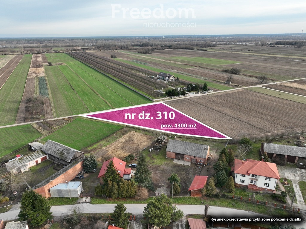 Działka 4300 m² niedaleko Konstancina I mpzp - Widok 6