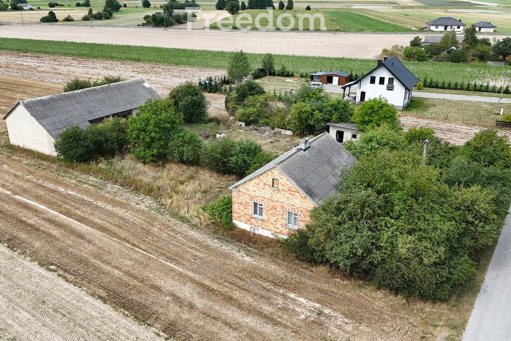 Dom – Ulan-Majorat, Żyłki - Widok 4