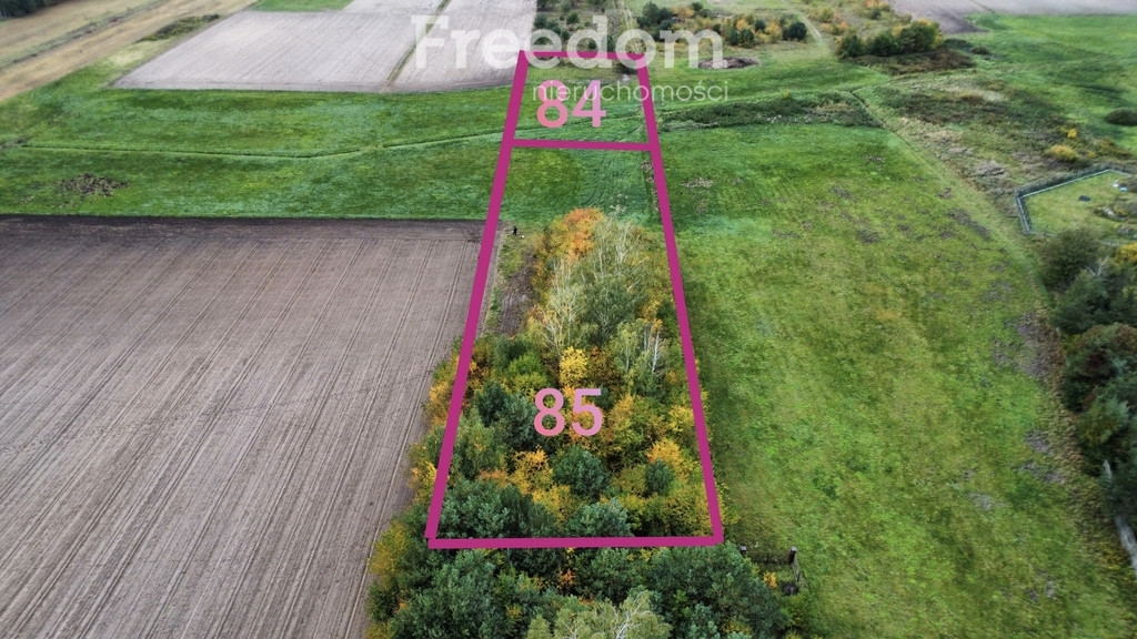 Walendów, działka 3676 m², mpzp, szybki dojazd do Warszawy - Widok 5