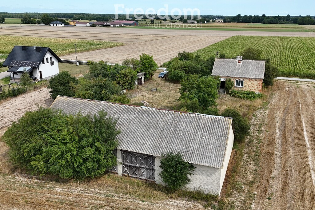 Dom – Ulan-Majorat, Żyłki - Widok 5