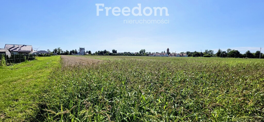 Kompleks trzech działek-19981 m² pod inwestycję - Widok 2