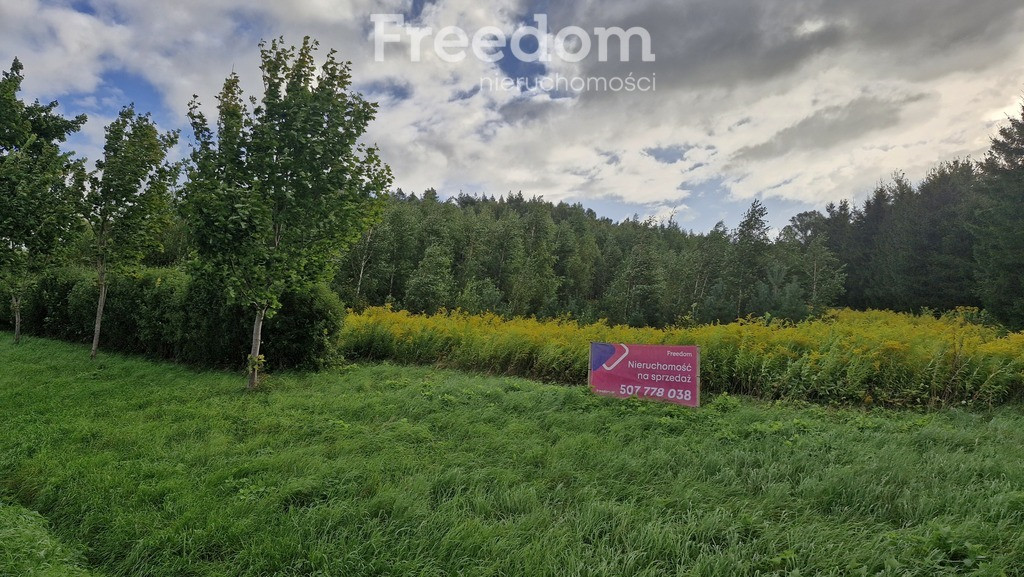 Działka inwestycyjna 2,34 ha przy DK51 - Widok 5