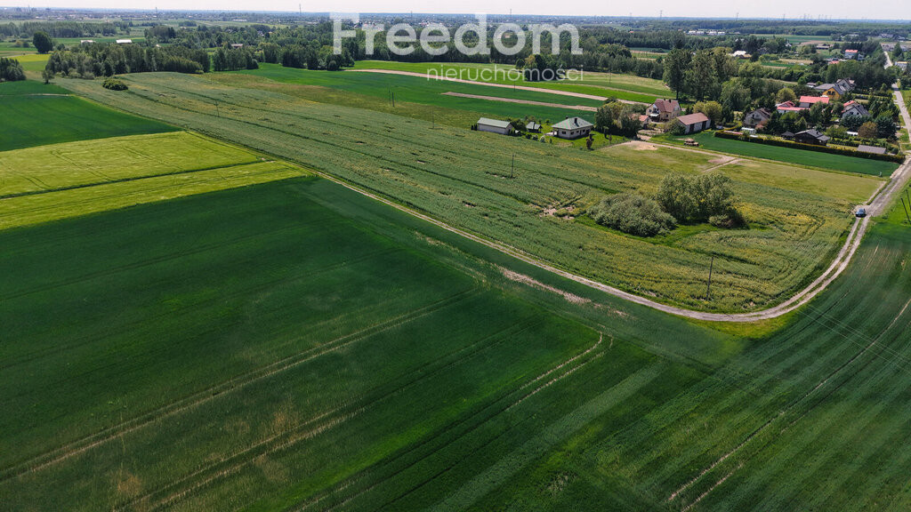 Działka 65 arów z MPZP | Ludwin-Kolonia - Widok 5