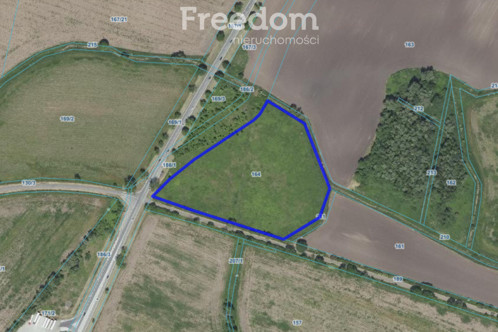 Działka inwestycyjna 2,31 ha | Wilczkowice | E8 - Widok 4