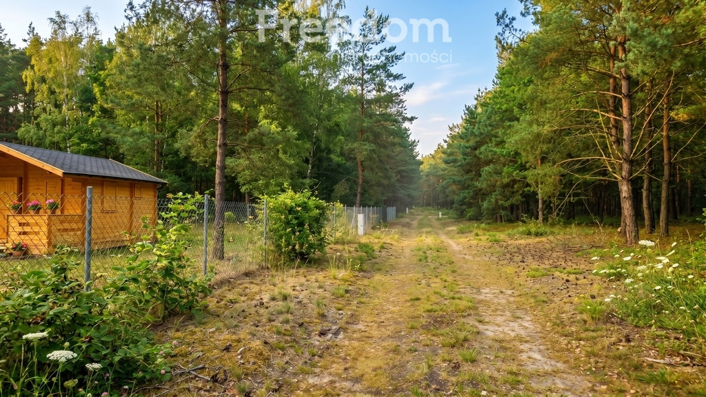 Działka budowlana z MPZP- Katarzynów/ Sokolnik - Widok 2