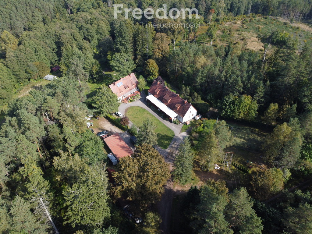 Dom – Stara Brda Pilska - Widok 2