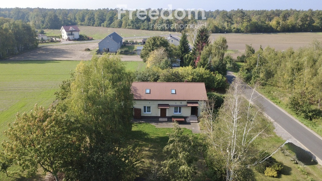 Dom – Kłodawa, Korzecznik - Widok 4