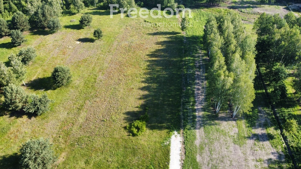 Stare Budy Radziejowskie- działka z prądem - Widok 3