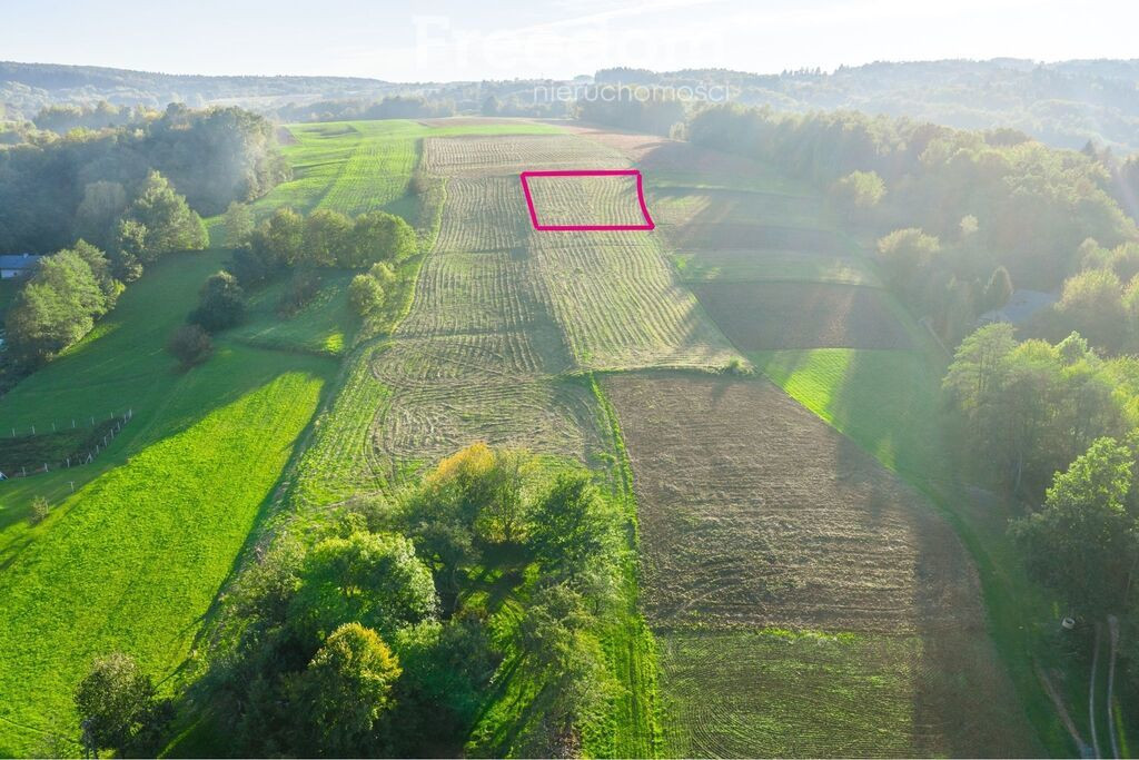 Działka 20a z WZ, piękny widok - Widok 2