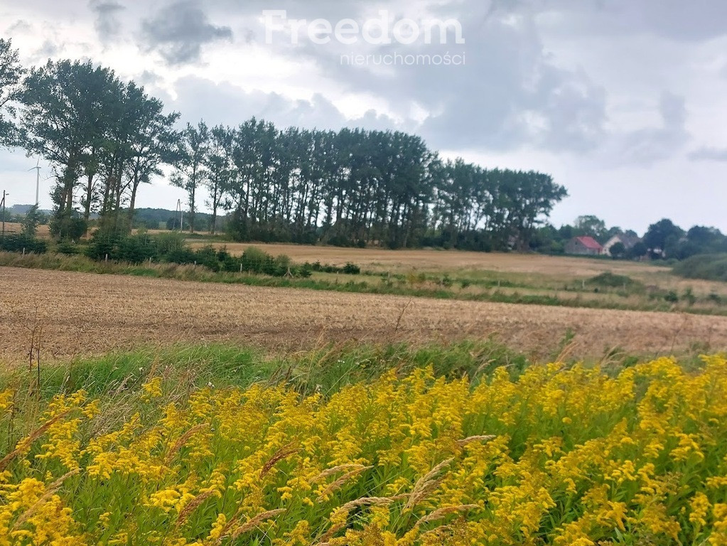 DZIAŁKA Z POZWOLENIEM NA BUDOWĘ BLISKO BAŁTYKU | 7 348 m² | BIECZYNO - Widok 4