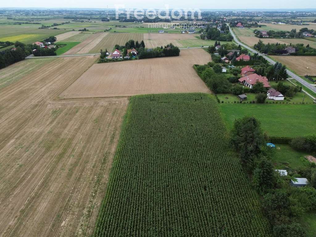 Atrakcyjne działki blisko Zamościa, Borowina - Widok 5