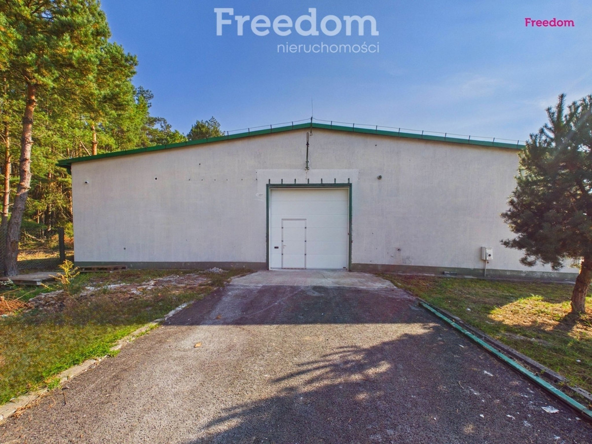 Hala magazynowa 570 m² z placem i monitoringiem-Białobrzegi - Widok 2